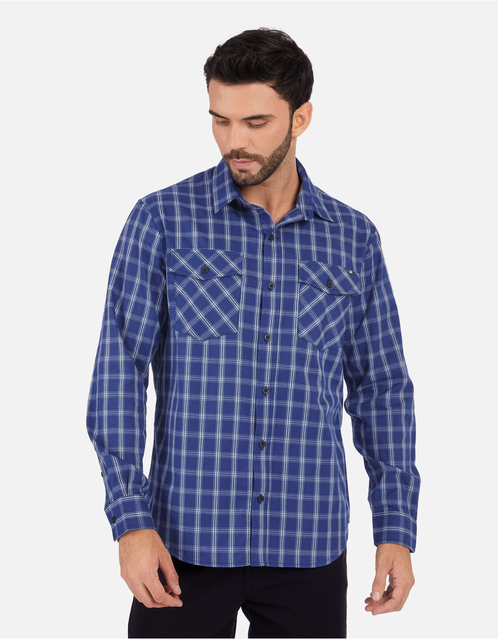 Camisa regular fit azul