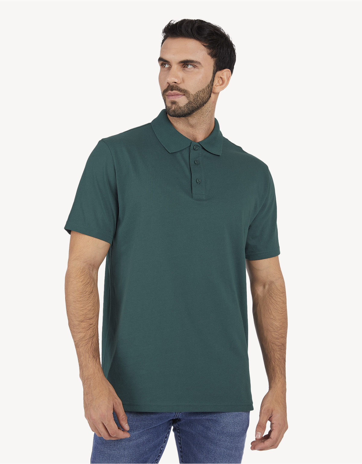 Polo regular fit cuello box verde
